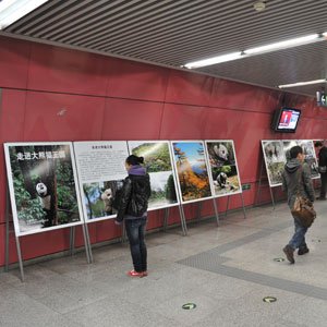 祥升行艺术微喷地铁公益广告显魅力